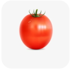 西红柿直播TV电视版app安卓最新官方版1.0.2